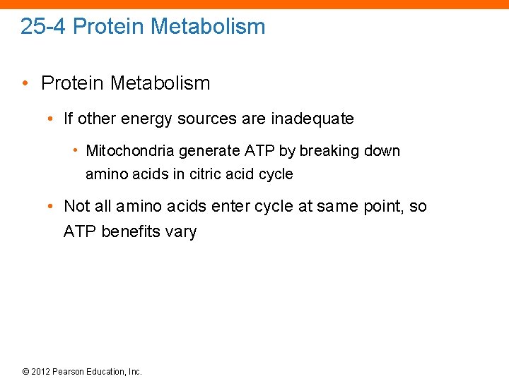 25 -4 Protein Metabolism • If other energy sources are inadequate • Mitochondria generate