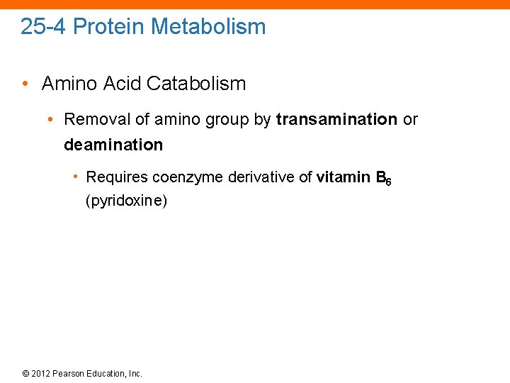 25 -4 Protein Metabolism • Amino Acid Catabolism • Removal of amino group by