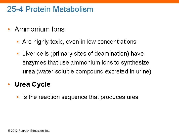 25 -4 Protein Metabolism • Ammonium Ions • Are highly toxic, even in low