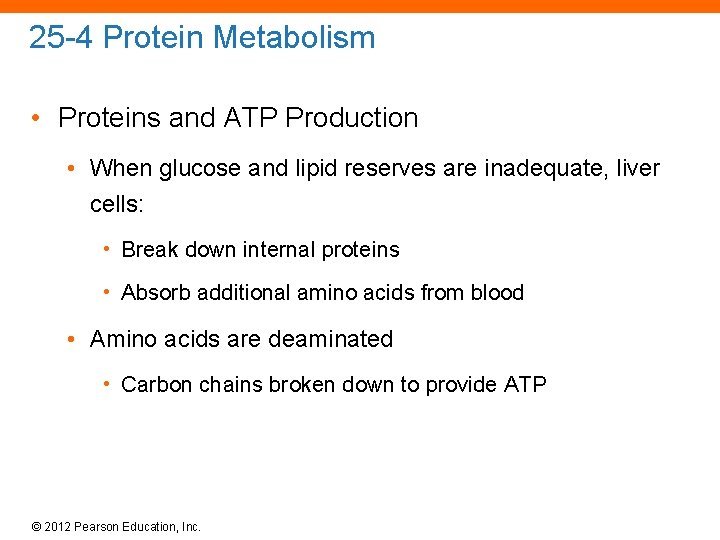 25 -4 Protein Metabolism • Proteins and ATP Production • When glucose and lipid