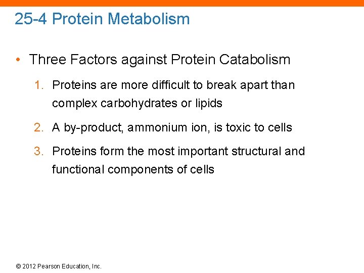 25 -4 Protein Metabolism • Three Factors against Protein Catabolism 1. Proteins are more