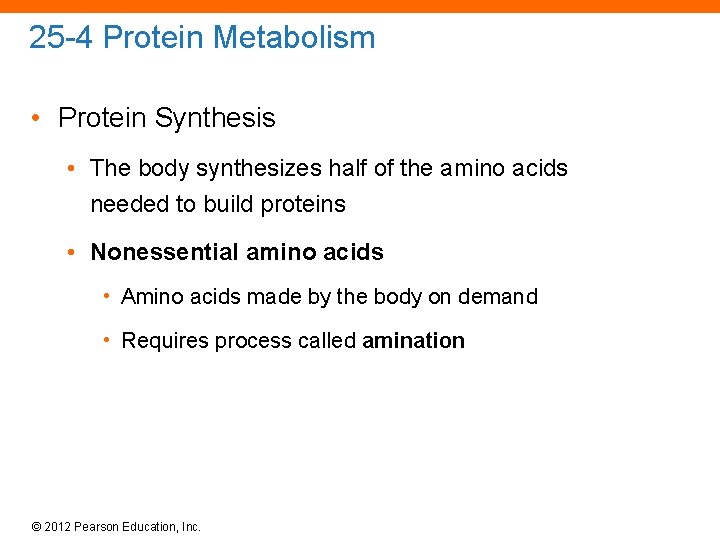 25 -4 Protein Metabolism • Protein Synthesis • The body synthesizes half of the