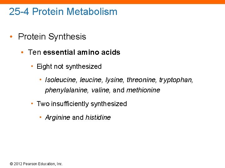 25 -4 Protein Metabolism • Protein Synthesis • Ten essential amino acids • Eight