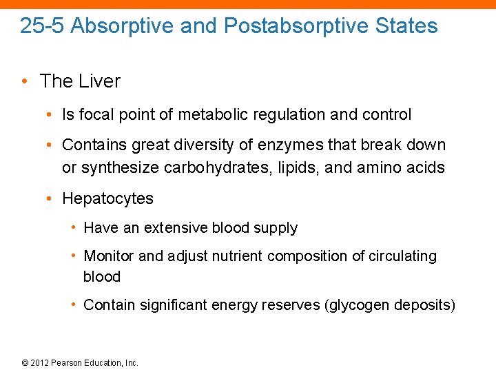 25 -5 Absorptive and Postabsorptive States • The Liver • Is focal point of