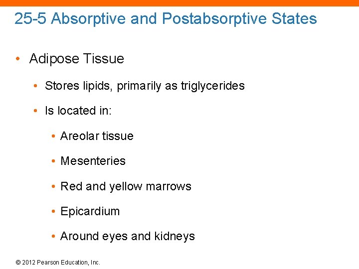 25 -5 Absorptive and Postabsorptive States • Adipose Tissue • Stores lipids, primarily as