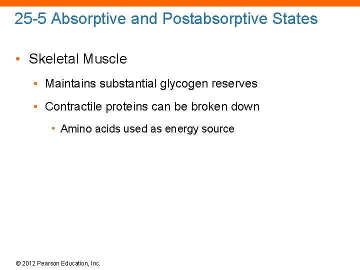 25 -5 Absorptive and Postabsorptive States • Skeletal Muscle • Maintains substantial glycogen reserves