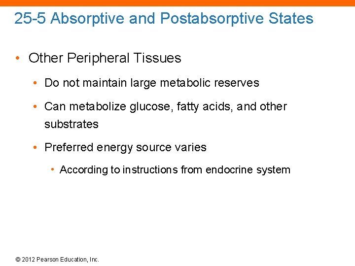 25 -5 Absorptive and Postabsorptive States • Other Peripheral Tissues • Do not maintain