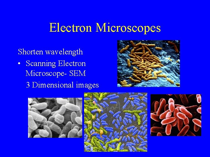 Electron Microscopes Shorten wavelength • Scanning Electron Microscope- SEM 3 Dimensional images 