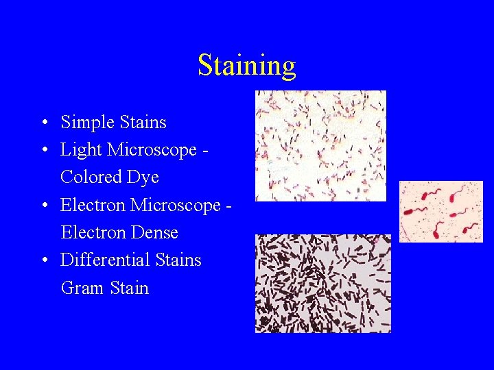 Staining • Simple Stains • Light Microscope Colored Dye • Electron Microscope Electron Dense