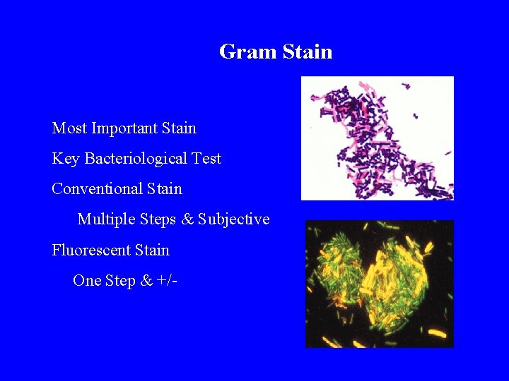 Gram Stain Most Important Stain Key Bacteriological Test Conventional Stain Multiple Steps & Subjective