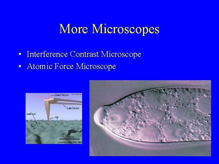 More Microscopes • Interference Contrast Microscope • Atomic Force Microscope 