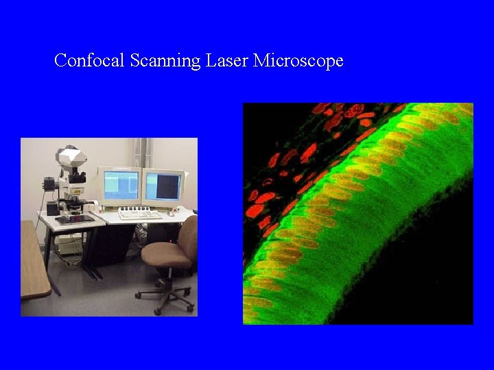 Confocal Scanning Laser Microscope 