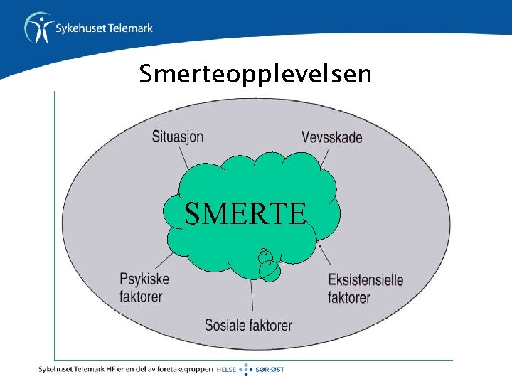 Smerteopplevelsen SMERTE 