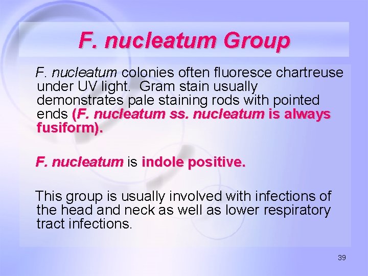 F. nucleatum Group F. nucleatum colonies often fluoresce chartreuse under UV light. Gram stain