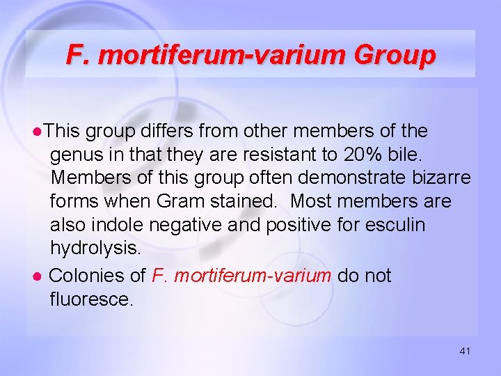 F. mortiferum-varium Group ●This group differs from other members of the genus in that