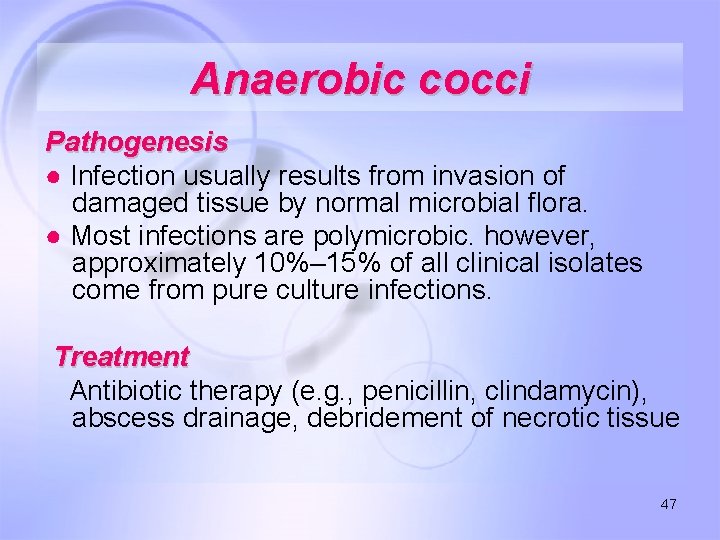 Anaerobic cocci Pathogenesis ● Infection usually results from invasion of damaged tissue by normal