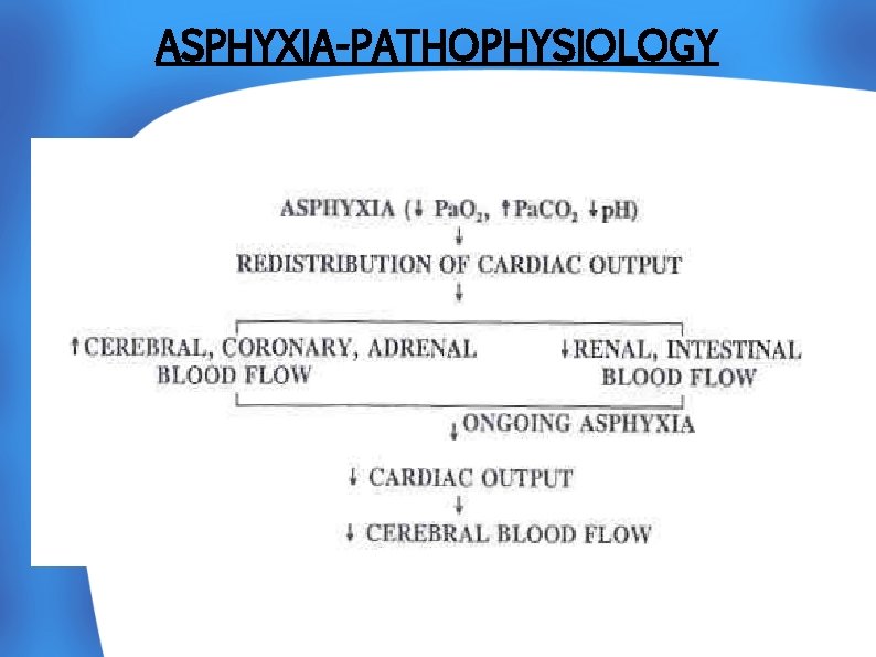 ASPHYXIA-PATHOPHYSIOLOGY 