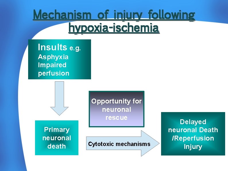 Mechanism of injury following hypoxia-ischemia Insults e. g. Asphyxia Impaired perfusion Opportunity for neuronal