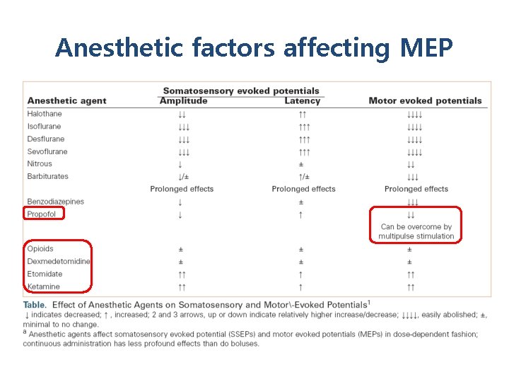 Anesthetic factors affecting MEP 