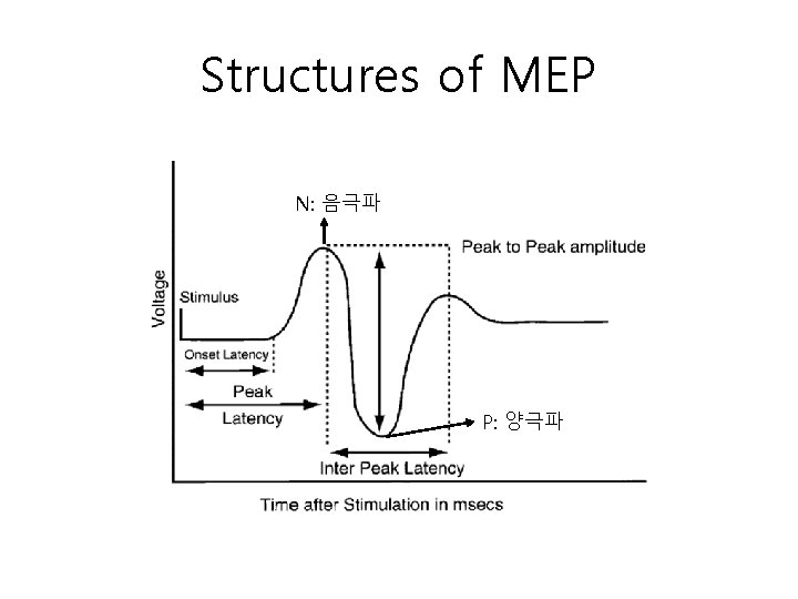 Structures of MEP N: 음극파 P: 양극파 