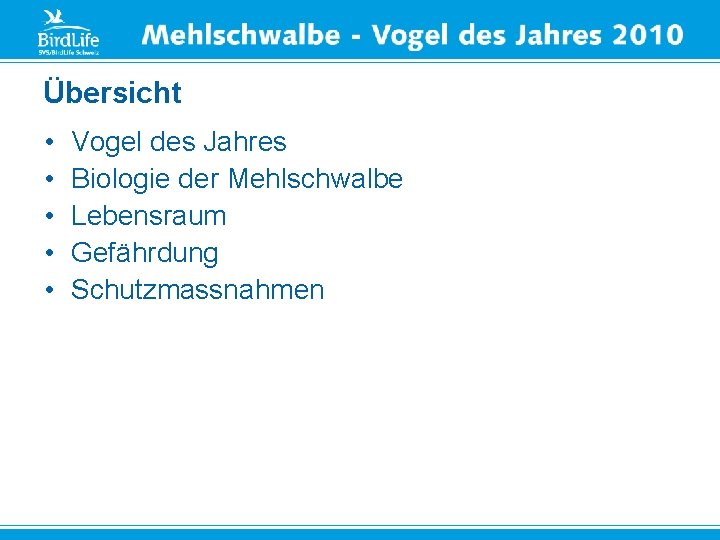 Übersicht • • • Vogel des Jahres Biologie der Mehlschwalbe Lebensraum Gefährdung Schutzmassnahmen 