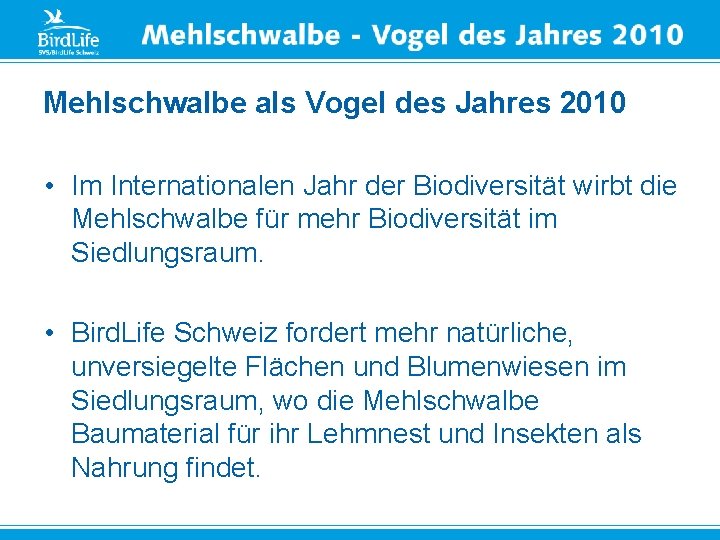 Mehlschwalbe als Vogel des Jahres 2010 • Im Internationalen Jahr der Biodiversität wirbt die