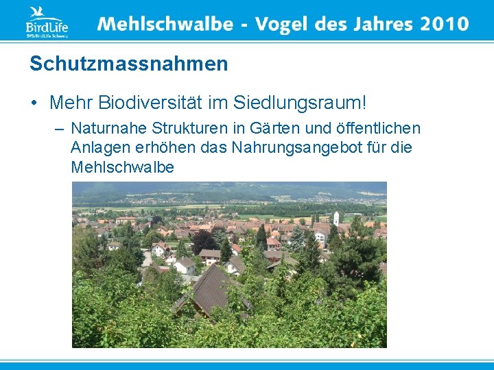 Schutzmassnahmen • Mehr Biodiversität im Siedlungsraum! – Naturnahe Strukturen in Gärten und öffentlichen Anlagen