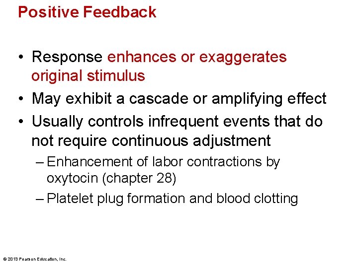 Positive Feedback • Response enhances or exaggerates original stimulus • May exhibit a cascade