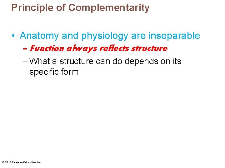 Principle of Complementarity • Anatomy and physiology are inseparable – Function always reflects structure