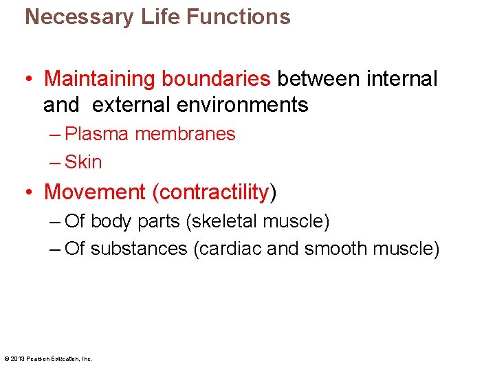 Necessary Life Functions • Maintaining boundaries between internal and external environments – Plasma membranes