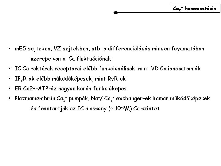 Ca 2+ homeosztázis • m. ES sejteken, VZ sejtekben, stb: a differenciálódás minden foyamatában