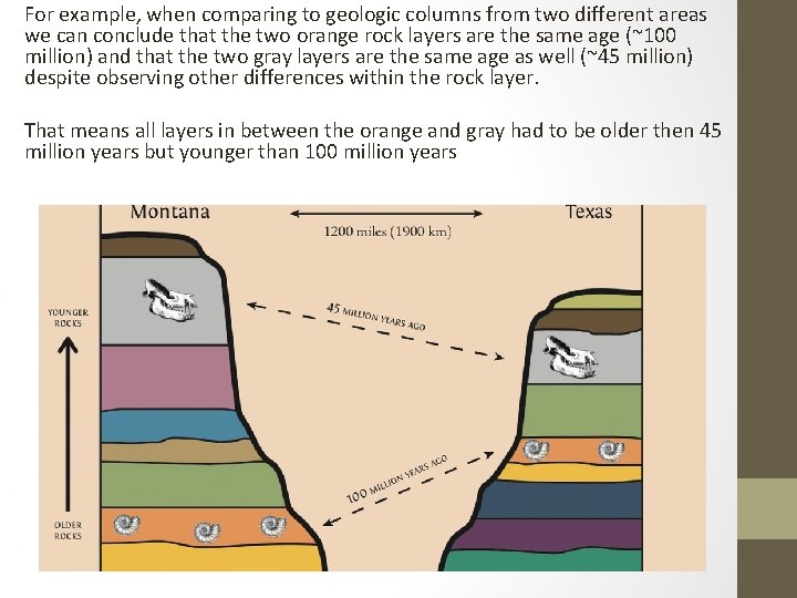 For example, when comparing to geologic columns from two different areas we can conclude