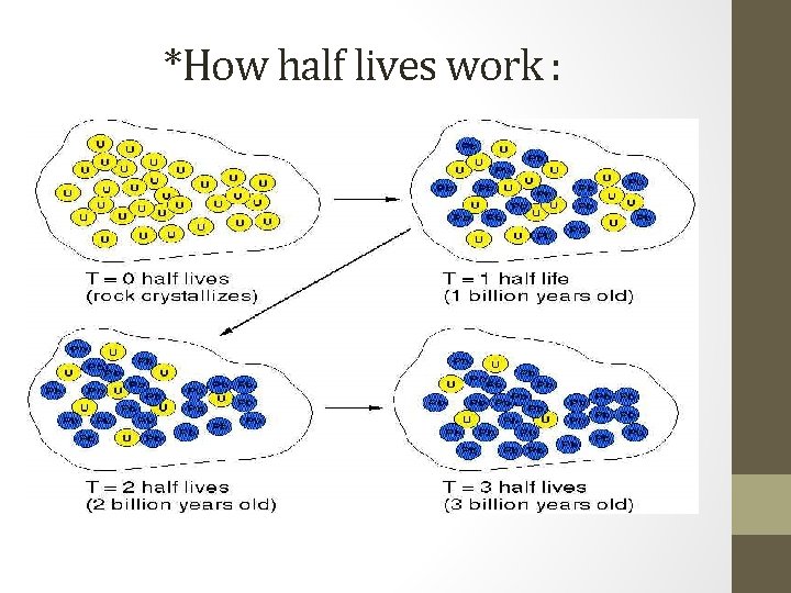 *How half lives work : 