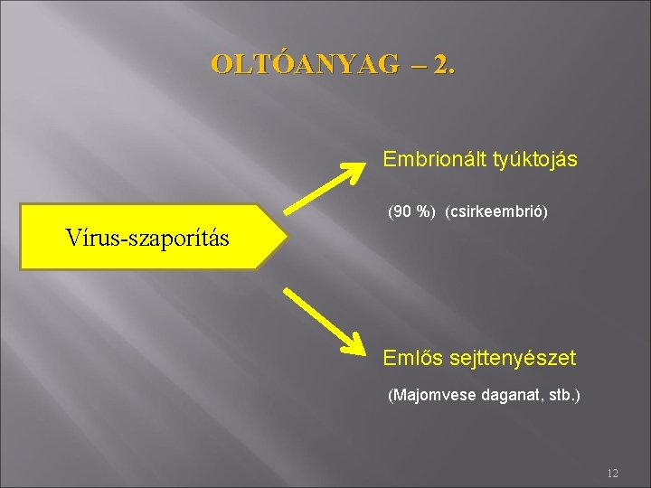 OLTÓANYAG – 2. Embrionált tyúktojás (90 %) (csirkeembrió) Vírus-szaporítás Emlős sejttenyészet (Majomvese daganat, stb.