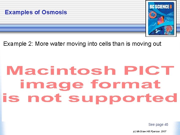 Examples of Osmosis Example 2: More water moving into cells than is moving out