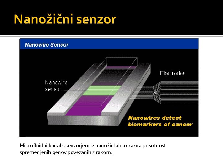 Nanožični senzor Mikrofluidni kanal s senzorjem iz nanožic lahko zazna prisotnost spremenjenih genov povezanih