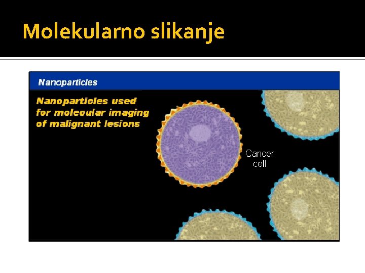 Molekularno slikanje 