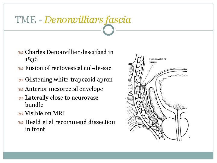 TME - Denonvilliars fascia Charles Denonvillier described in 1836 Fusion of rectovesical cul-de-sac Glistening TME - Denonvilliars fascia Charles Denonvillier described in 1836 Fusion of rectovesical cul-de-sac Glistening