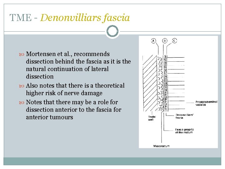 TME - Denonvilliars fascia Mortensen et al. , recommends dissection behind the fascia as TME - Denonvilliars fascia Mortensen et al. , recommends dissection behind the fascia as