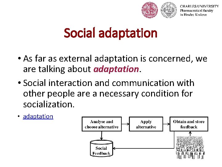 Social adaptation • As far as external adaptation is concerned, we are talking about