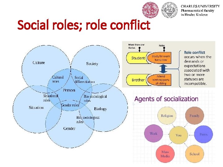 Social roles; role conflict  Social roles; role conflict