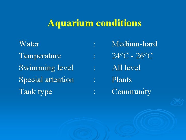 Aquarium conditions Water Temperature Swimming level Special attention Tank type : : : Medium-hard