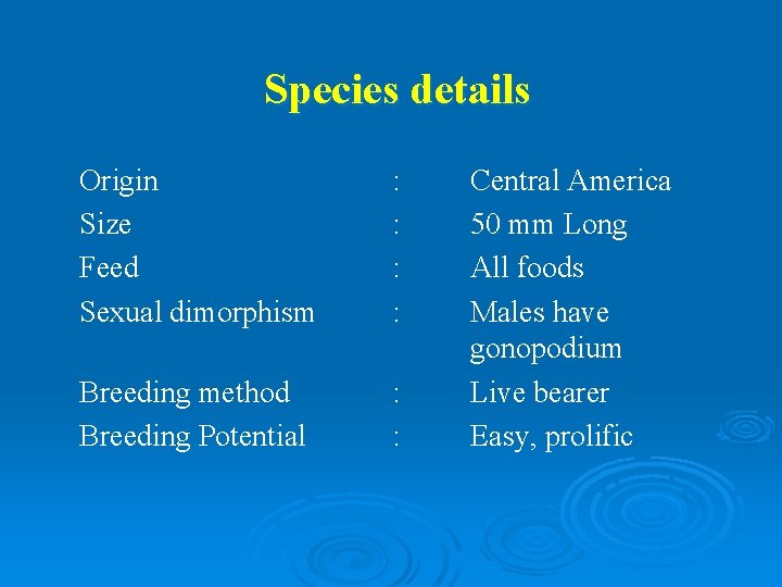 Species details Origin Size Feed Sexual dimorphism : : Breeding method Breeding Potential :