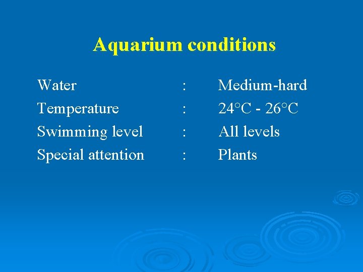 Aquarium conditions Water Temperature Swimming level Special attention : : Medium-hard 24°C - 26°C