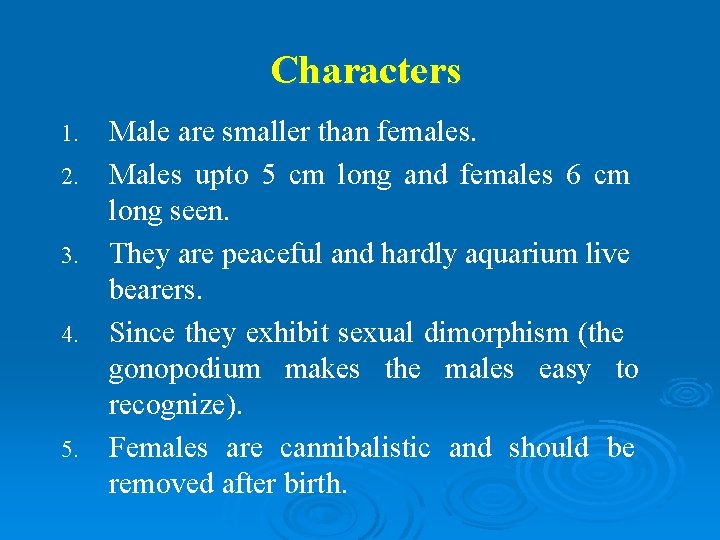 Characters 1. 2. 3. 4. 5. Male are smaller than females. Males upto 5