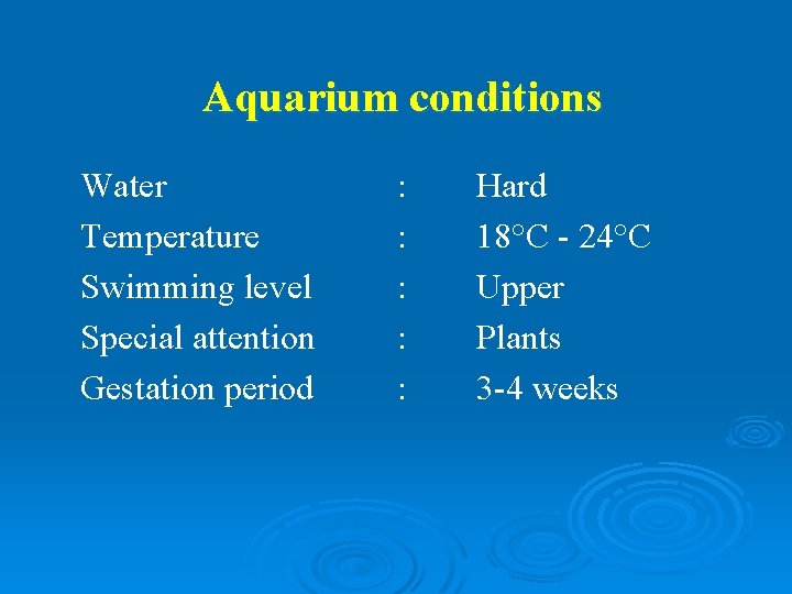Aquarium conditions Water Temperature Swimming level Special attention Gestation period : : : Hard