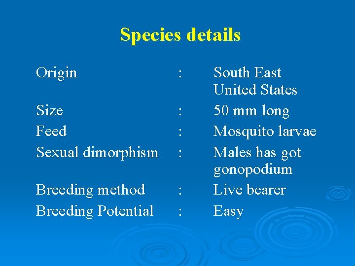 Species details Origin : Size Feed Sexual dimorphism : : : Breeding method Breeding