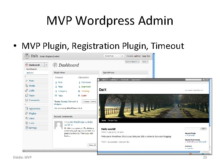 MVP Wordpress Admin • MVP Plugin, Registration Plugin, Timeout Biddle: MVP 23 