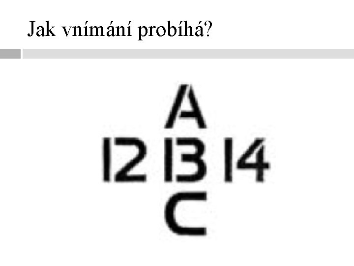 Jak vnímání probíhá? 