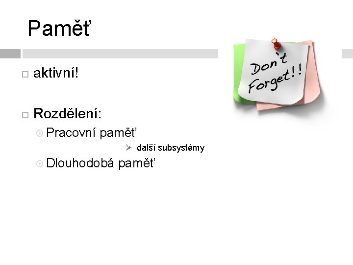 Paměť aktivní! Rozdělení: Pracovní paměť Ø další subsystémy Dlouhodobá paměť 